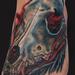 tattoo galleries/ - Coyote Skull Tattoo - 60443